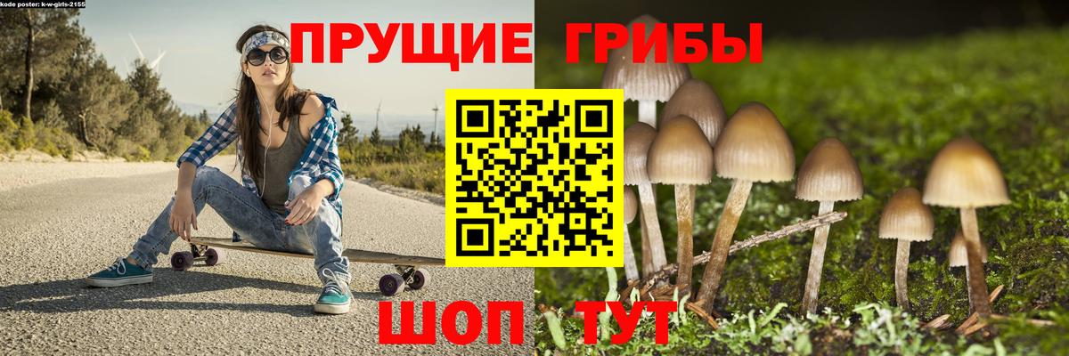 Галлюциногенные грибы Magic Shrooms Юрга