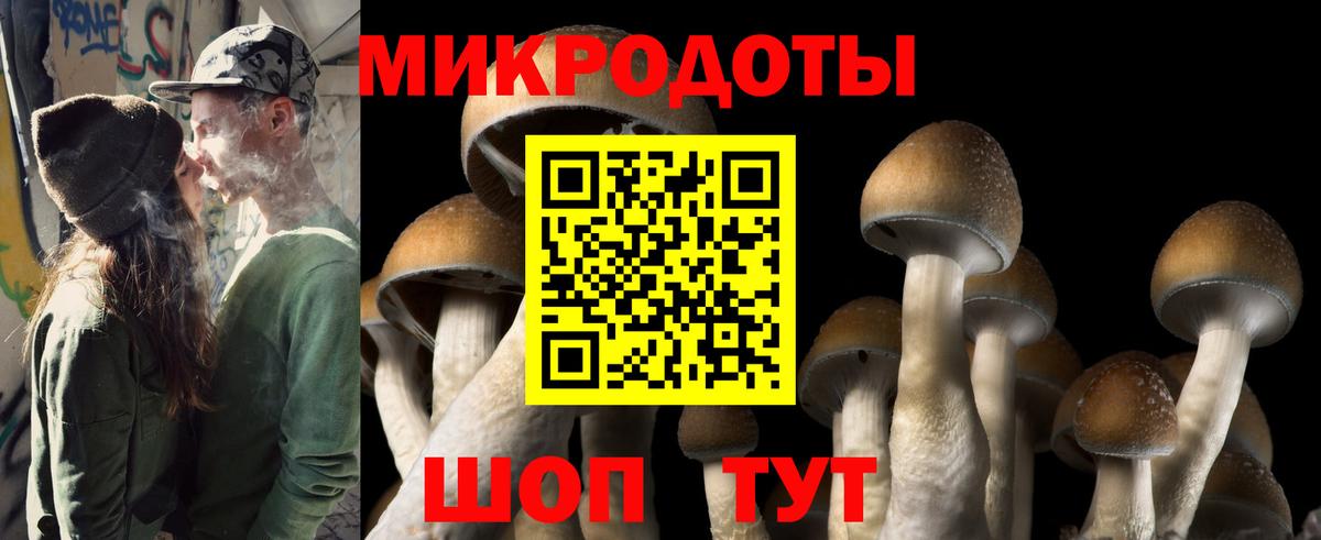 Галлюциногенные грибы Psilocybine cubensis  Вход с VPN  Юрга 